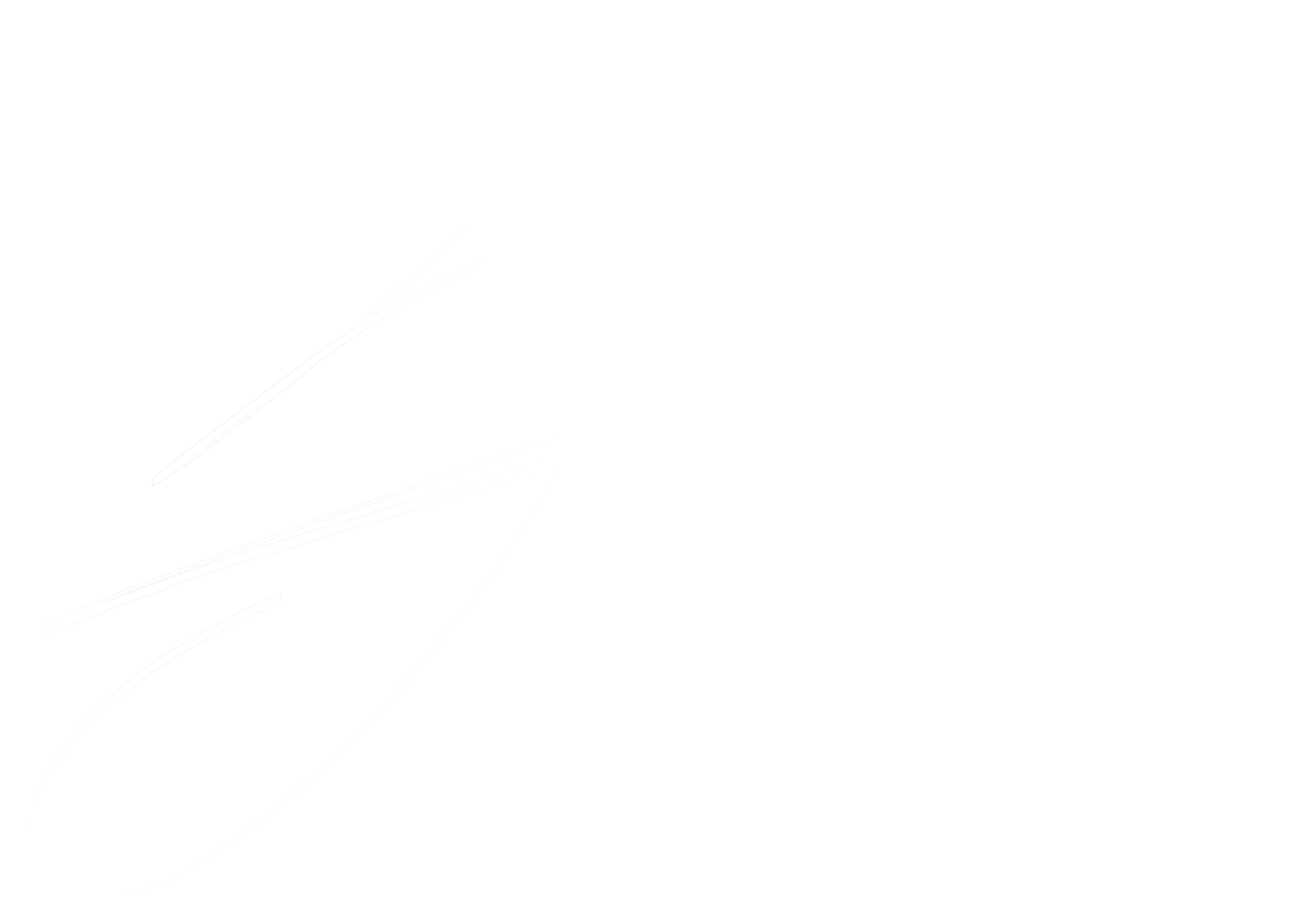Sally Nikolaishvili signature